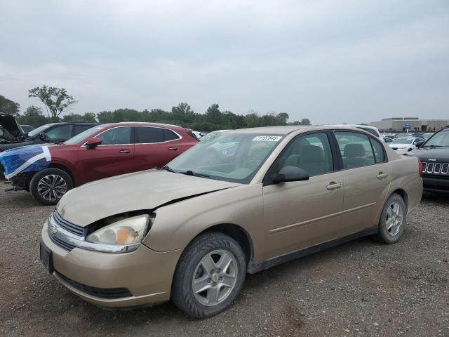 CHEVROLET MALIBU LS 2005 with VIN 1G1ZT52805F315926 - Photo from auction