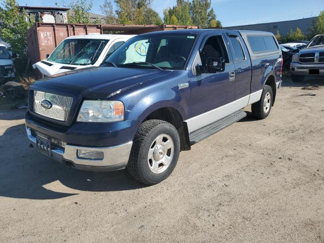 FORD F150 2004 with VIN 1FTPX145X4NA19119 - Photo from auction