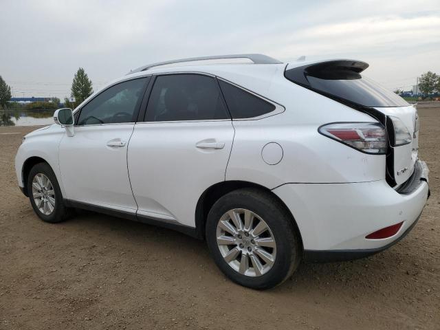 Photo 2 from auction – 2010 LEXUS RX 350 with VIN 2T2BK1BA4AC040664