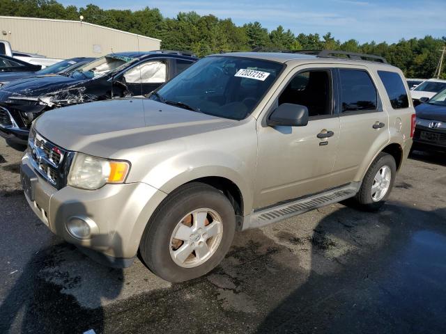 FORD ESCAPE XLT 2011 with VIN 1FMCU9DG3BKC24489 - Photo from auction