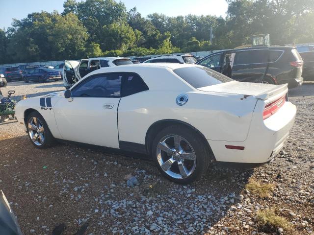 Zdjęcie 2 z aukcji – 2010 DODGE CHALLENGER R/T z VIN 2B3CJ5DT6AH157896