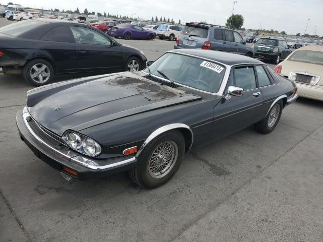 JAGUAR XJS 1989 with VIN SAJNA5849KC156340 - Photo from auction