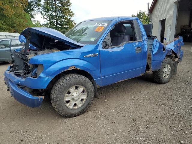 FORD F150 2011 with VIN 1FTMF1EM0BFB36596 - Photo from auction