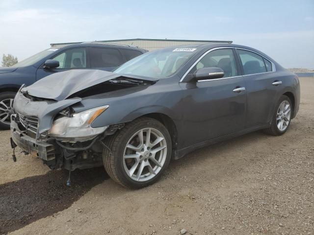 NISSAN MAXIMA S 2010 with VIN 1N4AA5AP7AC855374 - Photo from auction