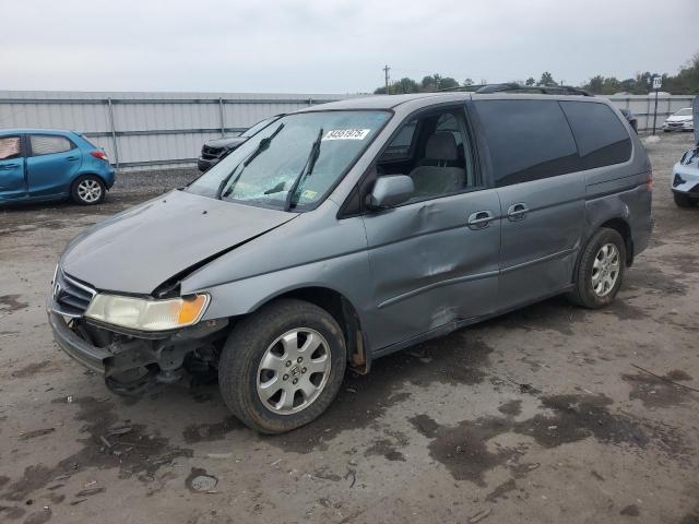 HONDA ODYSSEY EX 2002 with VIN 5FNRL186X2B025473 - Photo from auction
