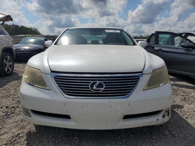 Photo 5 from auction – 2009 LEXUS LS 460 with VIN JTHBL46F895087681