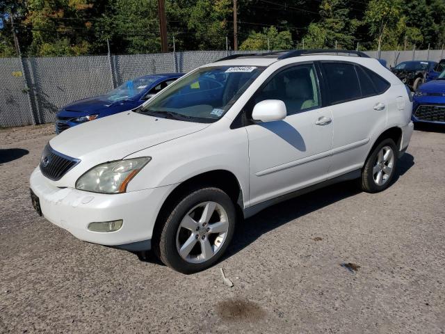 LEXUS RX 330 2004 with VIN 2T2HA31U04C001210 - Photo from auction