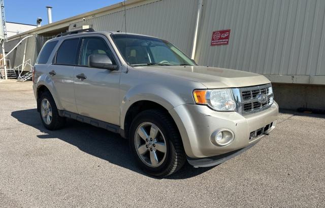 FORD ESCAPE XLT 2012 with VIN 1FMCU0D77CKB96550 - Photo from auction