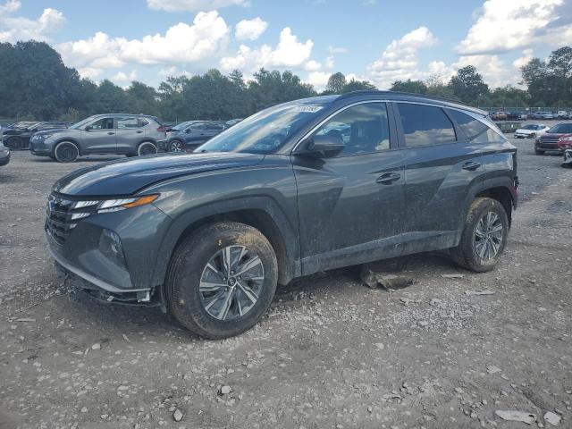 HYUNDAI TUCSON BLUE 2022 with VIN KM8JBCA12NU024433 - Photo from auction