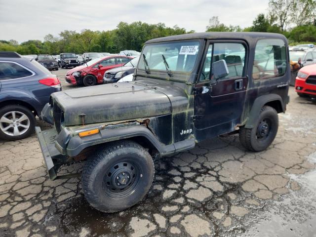 JEEP WRANGLER / 1995 with VIN 1J4FY19P8SP283289 - Photo from auction