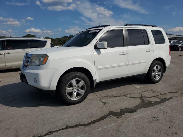 HONDA PILOT EXL 2009 with VIN 5FNYF48559B051355 - Photo from auction