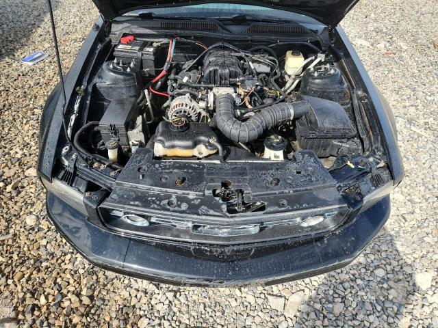 Photo 11 from auction – 2007 FORD MUSTANG with VIN 1ZVFT80N875243559
