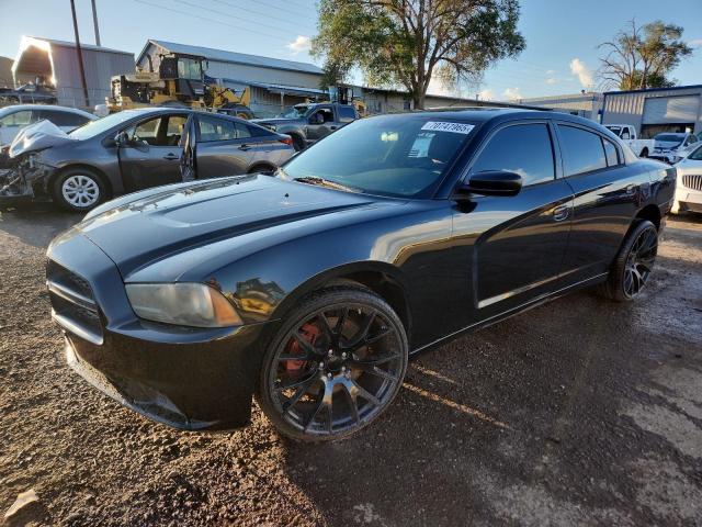 DODGE CHARGER PO 2014 with VIN 2C3CDXKT0EH360510 - Photo from auction