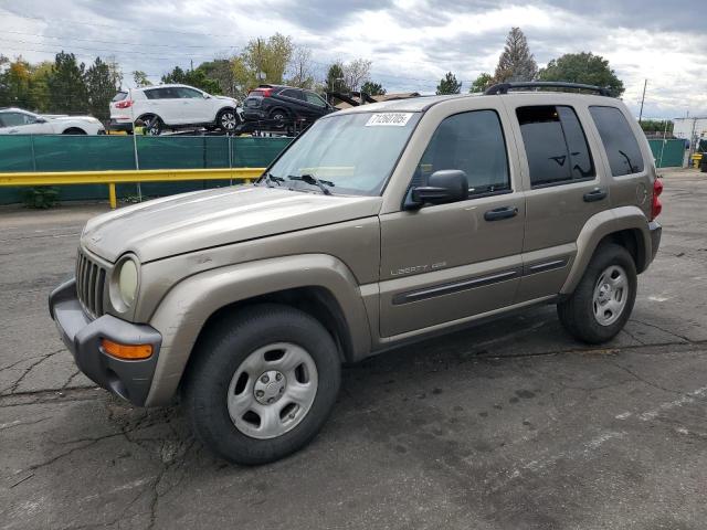 JEEP LIBERTY SP 2004 with VIN 1J4GL48K24W177522 - Photo from auction