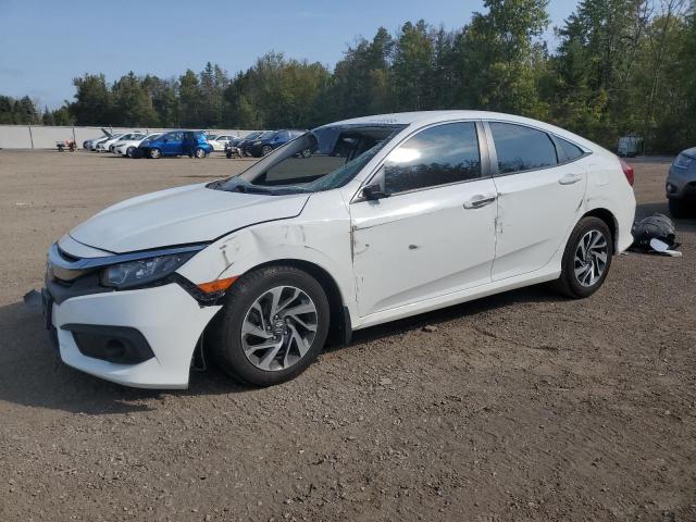 HONDA CIVIC LX 2018 with VIN 2HGFC2F67JH043371 - Photo from auction