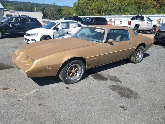 PONTIAC FIREBIRD 1981 with VIN 1G2AS87A5BN111438 - Photo from auction