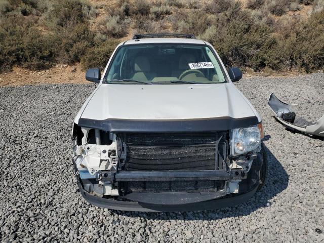 Photo 5 from auction – 2010 FORD ESCAPE XLT with VIN 1FMCU9D73AKC72556