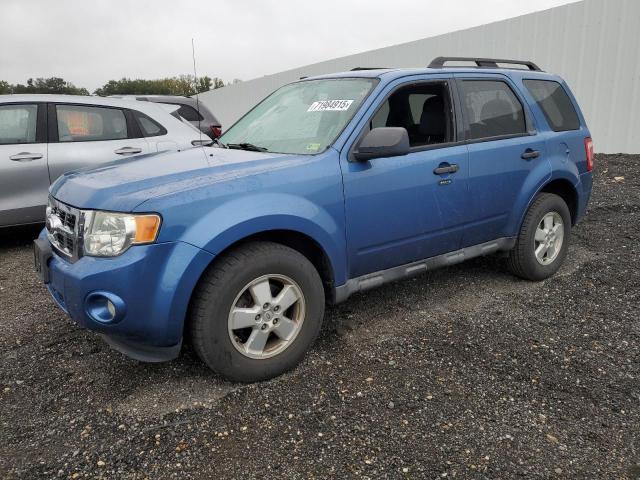Photo 1 from auction – 2010 FORD ESCAPE XLT with VIN 1FMCU0DG7AKC47915