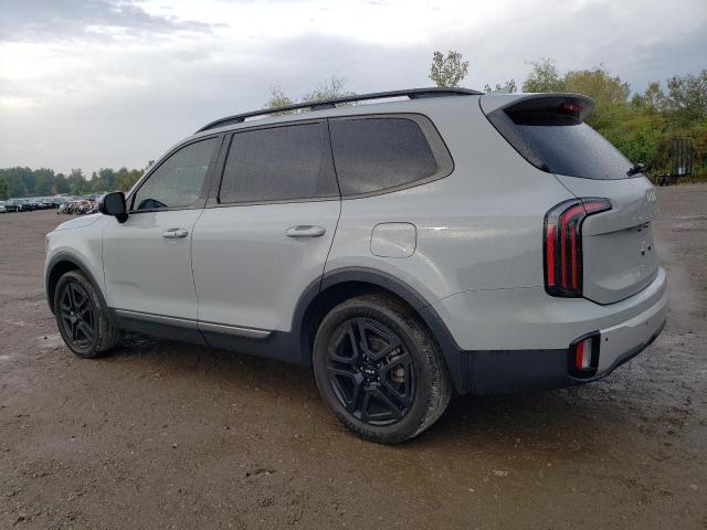 Photo 2 from auction – 2023 KIA TELLURIDE with VIN 5XYP3DGC0PG401582