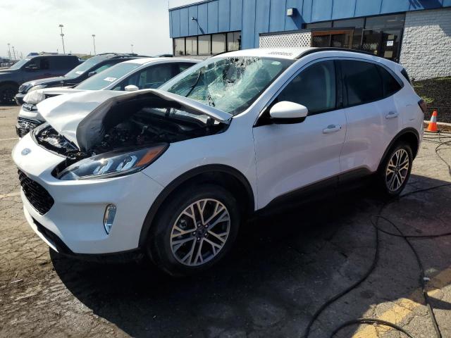 FORD ESCAPE SEL 2020 with VIN 1FMCU9H60LUC18172 - Photo from auction
