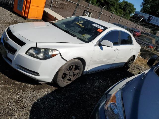 Photo 1 from auction – 2010 CHEVROLET MALIBU 2LT with VIN 1G1ZD5EB5AF287121