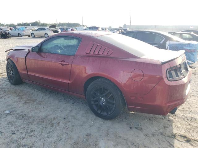 Photo 2 from auction – 2014 FORD MUSTANG with VIN 1ZVBP8AM3E5325320