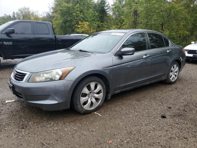 Photo 1 from auction – 2010 HONDA ACCORD EXL with VIN 1HGCP2F84AA807748