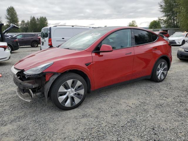 TESLA MODEL Y 2023 with VIN 7SAYGDEE8PF664037 - Photo from auction