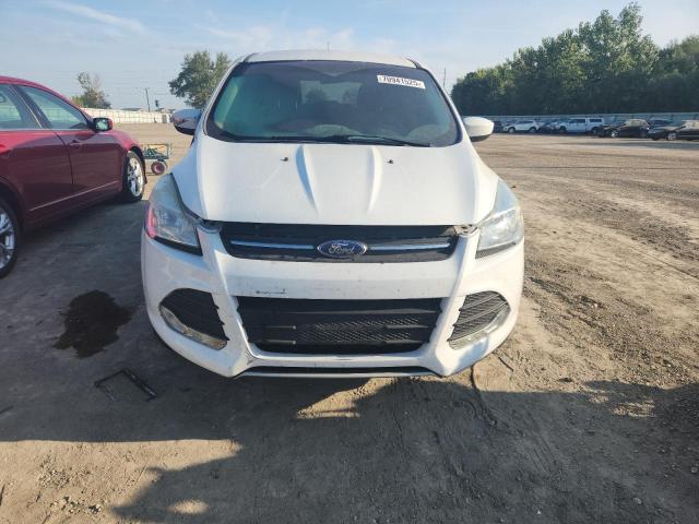 Photo 5 from auction – 2016 FORD ESCAPE SE with VIN 1FMCU0G71GUA52899