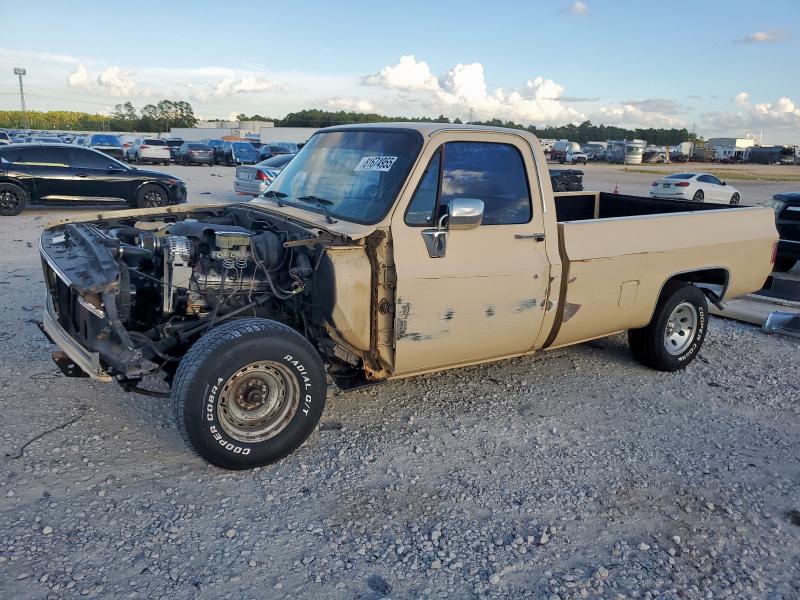 CHEVROLET C10 1985 with VIN 1GCDC14H7FJ105023 - Photo from auction