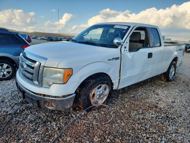 FORD F150 SUPER 2012 with VIN 1FTFX1EF5CFB96558 - Photo from auction