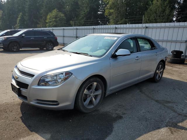 CHEVROLET MALIBU 2LT 2009 with VIN 1G1ZJ57B59F177929 - Photo from auction
