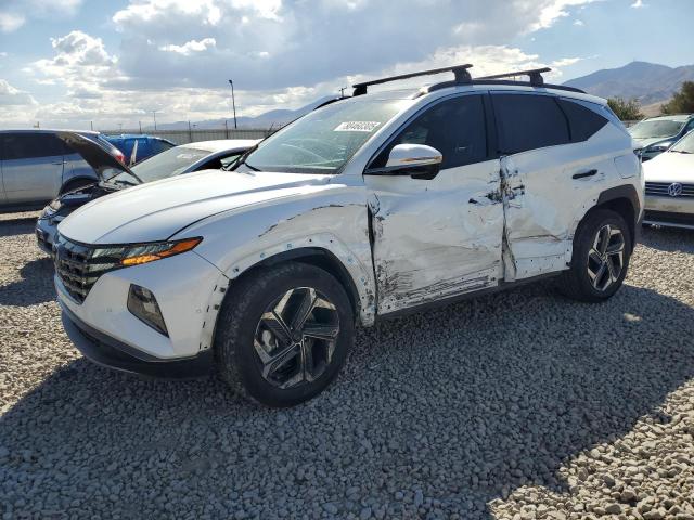 HYUNDAI TUCSON LIM 2024 with VIN KM8JECD19RU215940 - Photo from auction