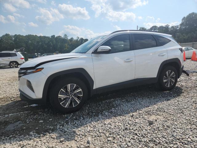 Photo 1 from auction – 2023 HYUNDAI TUCSON BLU with VIN KM8JBCA17PU085733