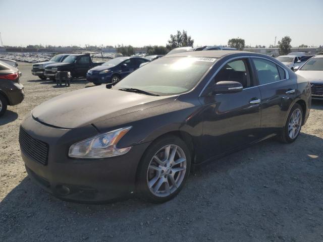 NISSAN MAXIMA S 2011 с VIN 1N4AA5AP2BC848012 - Снимка от търг