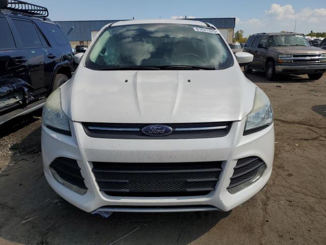 Photo 5 from auction – 2014 FORD ESCAPE SE with VIN 1FMCU0GX1EUB78726