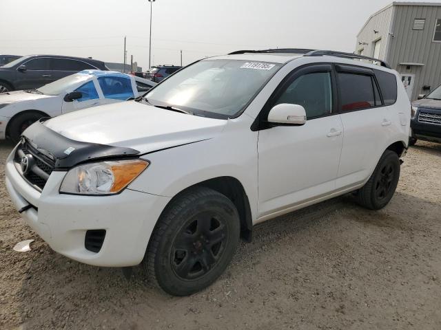 TOYOTA RAV4 2011 with VIN 2T3BF4DV3BW142295 - Photo from auction