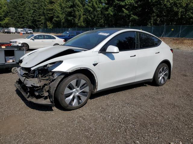 TESLA MODEL Y 2023 with VIN 7SAYGDEE3PF811994 - Photo from auction