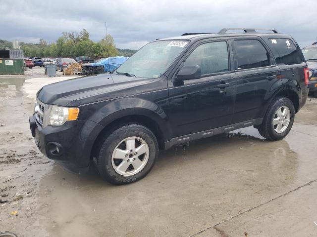 FORD ESCAPE XLT 2012 z numerem VIN 1FMCU0D70CKA10363 - Zdjęcie z aukcji