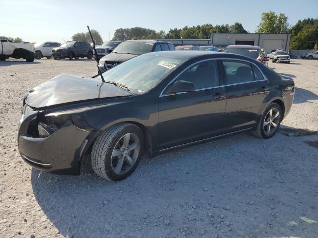 CHEVROLET MALIBU 1LT 2011 with VIN 1G1ZC5E14BF296128 - Photo from auction