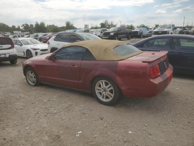 Photo 2 from auction – 2008 FORD MUSTANG with VIN 1ZVHT84N785159253