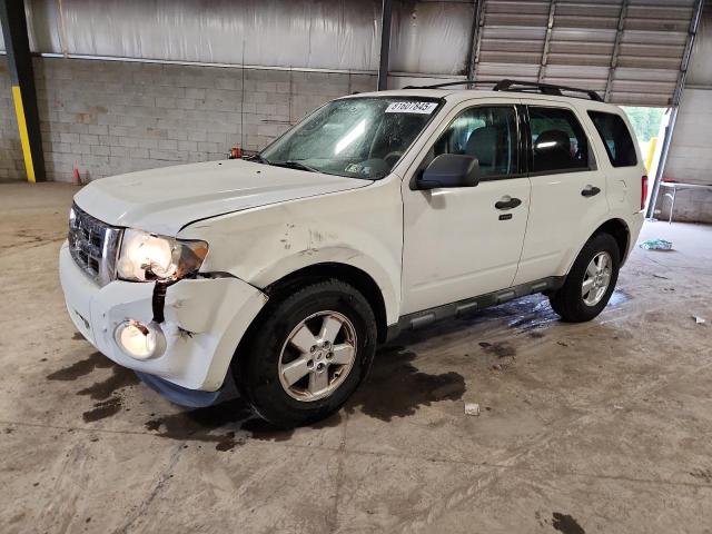 Photo 1 from auction – 2010 FORD ESCAPE XLT with VIN 1FMCU0DG8AKC67459