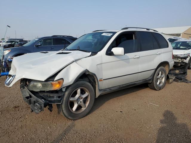 BMW X5 3.0I 2002 with VIN 5UXFA535X2LP56205 - Photo from auction