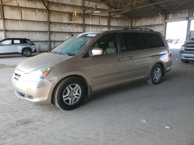 HOND ODYSSEY EXL 2006 with VIN 5FNRL38776B434248 - Photo from auction
