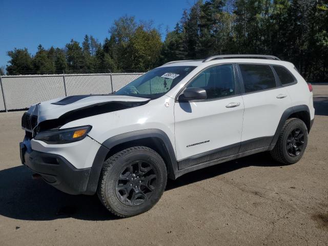 JEEP CHEROKEE T 2019 with VIN 1C4PJMBX3KD112901 - Photo from auction