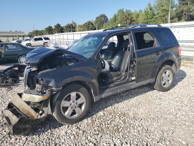 Photo 1 from auction – 2011 FORD ESCAPE LIMITED with VIN 1FMCU0EG3BKB03147
