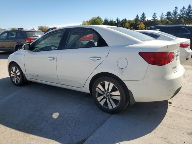 Photo 2 from auction – 2013 KIA FORTE EX with VIN KNAFU4A23D5648962