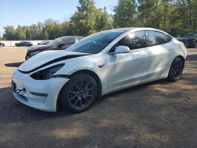TESLA MODEL 3 2020 with VIN 5YJ3E1EB6LF626513 - Photo from auction