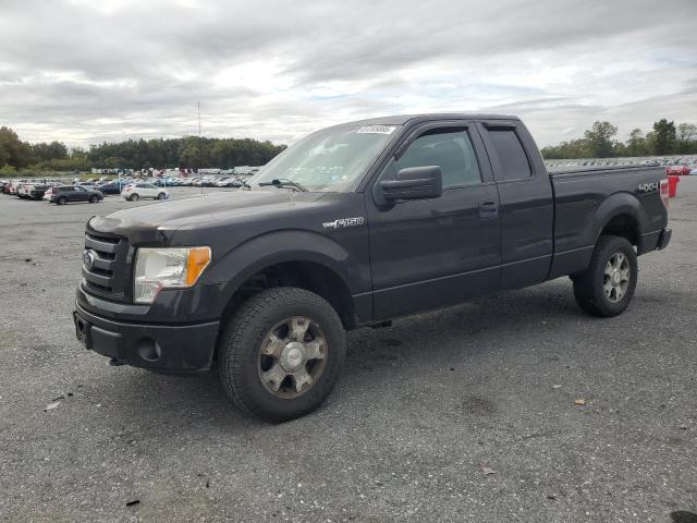 FORD F150 SUPER 2010 with VIN 1FTEX1EW1AFD70747 - Photo from auction