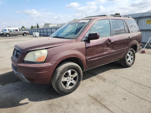 HONDA PILOT 2007 with VIN 5FNYF18527B029857 - Photo from auction